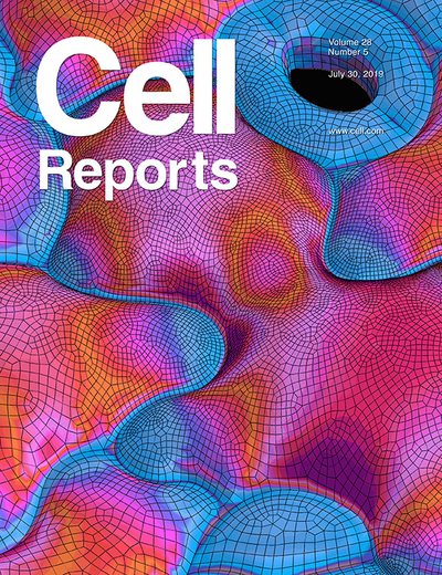 Couverture de Cell Reports (Bidhendi et al., 2019)