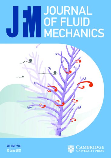 Couverture du Journal of Fluid Mechanics (Boudina, Gosselin & Étienne, 2021)